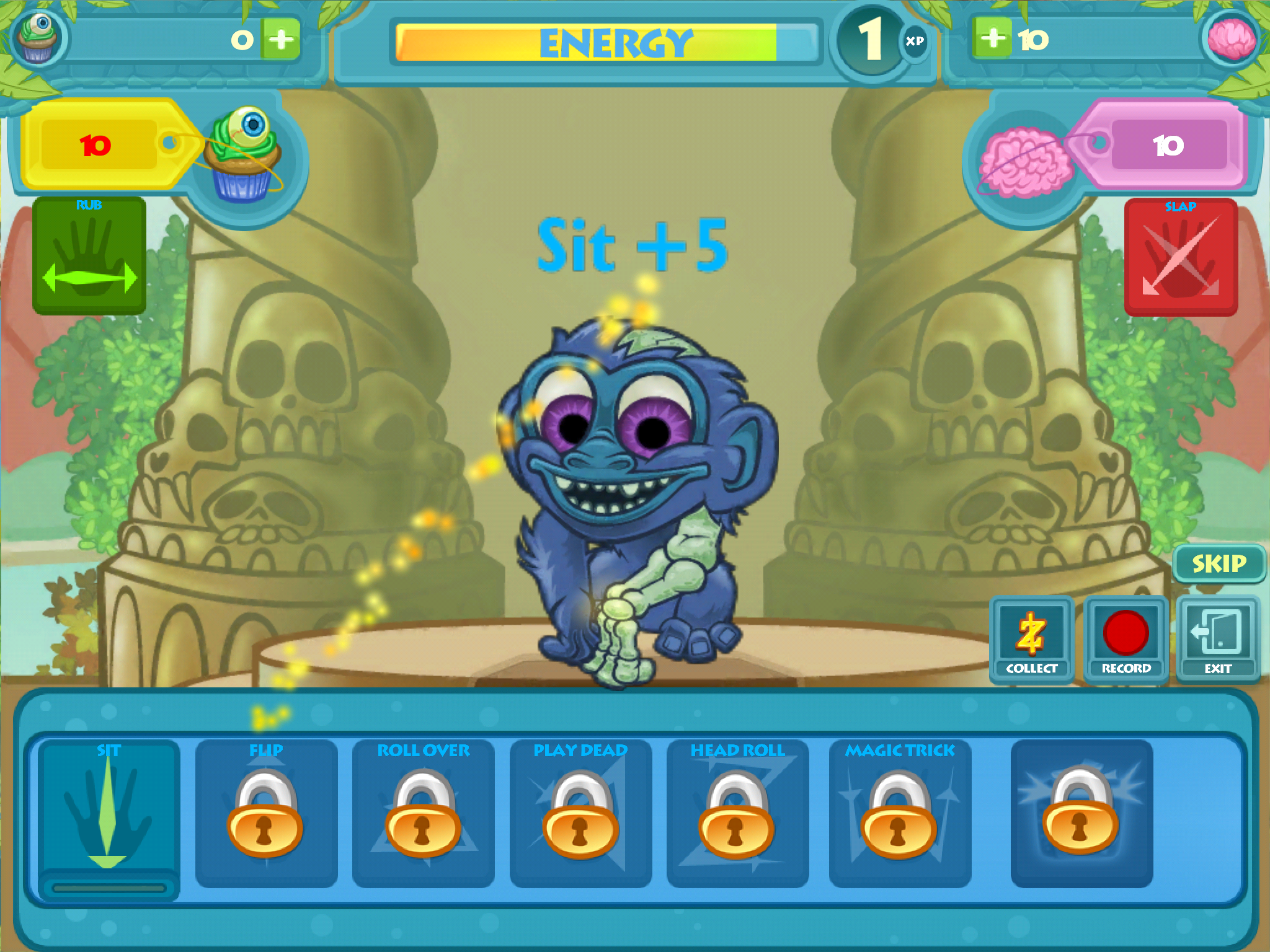 Pet Zoometery