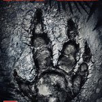 Evolve - cover