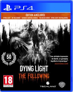 The Following - cover
