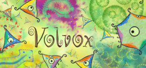 Volvox - logo